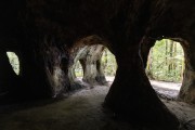 Cock-of-the-rock Cave - Presidente Figueiredo city - Amazonas state (AM) - Brazil