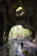 Cock-of-the-rock Cave - Presidente Figueiredo city - Amazonas state (AM) - Brazil
