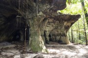 Cock-of-the-rock Cave - Presidente Figueiredo city - Amazonas state (AM) - Brazil
