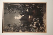 Reproduction: Dom Pedro II, Emperor of Brazil - 1883 - Platinoitipia - Photographer Joaquim Insley Pacheco - Thereza Christina Maria Collection - National Library Collection - Rio de Janeiro city - Rio de Janeiro state (RJ) - Brazil