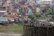 Stilt houses during drought on the Negro River - Manaus city - Amazonas state (AM) - Brazil