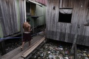 Stilt houses - Manaus city - Amazonas state (AM) - Brazil