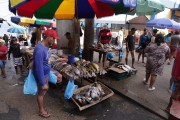 Street commerce in the city of Tefe - Tefe city - Amazonas state (AM) - Brazil