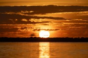 Sunrise at mamiraua Lake - Mamiraua Sustainable Development Reserve - Alvaraes city - Amazonas state (AM) - Brazil