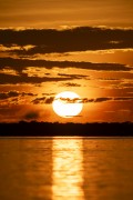 Sunrise at mamiraua Lake - Mamiraua Sustainable Development Reserve - Alvaraes city - Amazonas state (AM) - Brazil