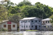 Riverine community at the mouth of the Mamiraua River - Mamiraua Sustainable Development Reserve - Alvaraes city - Amazonas state (AM) - Brazil