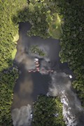 Picture taken with drone of the Uakari Lodge Floating Inn- Mamiraua Sustainable Development Reserve - Alvaraes city - Amazonas state (AM) - Brazil