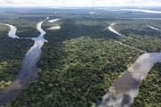 Picture taken with drone of rivers and flooded forest - Mamiraua Sustainable Development Reserve - Alvaraes city - Amazonas state (AM) - Brazil