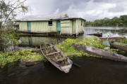 Vegetable garden cultivated in a canoe on Mamiraua Lake - Mamiraua Sustainable Development Reserve - Alvaraes city - Amazonas state (AM) - Brazil