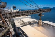 Soybeans loaded on a ship for export - Paranagua city - Parana state (PR) - Brazil