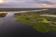 Picture taken with drone of river and flooded forest - Mamiraua Sustainable Development Reserve - Alvaraes city - Amazonas state (AM) - Brazil