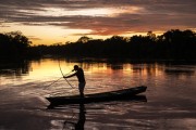 Indigenous fishing with bow and arrow at sunrise - Mamiraua Sustainable Development Reserve - Alvaraes city - Amazonas state (AM) - Brazil