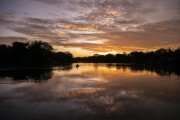 Sunrise at mamiraua Lake - Mamiraua Sustainable Development Reserve - Alvaraes city - Amazonas state (AM) - Brazil
