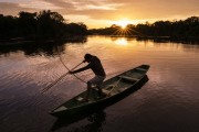 Indigenous fishing with bow and arrow at sunrise - Mamiraua Sustainable Development Reserve - Alvaraes city - Amazonas state (AM) - Brazil