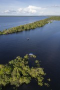 Picture taken with drone of river islands - Anavilhanas National Park  - Novo Airao city - Amazonas state (AM) - Brazil