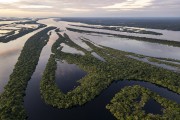 Picture taken with drone of river islands - Anavilhanas National Park  - Novo Airao city - Amazonas state (AM) - Brazil