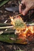 Tourists roasting sea bugs on a survival tour in the Amazon rainforest - Anavailhanas National Park - Novo Airao city - Amazonas state (AM) - Brazil