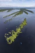 Picture taken with drone of river islands - Anavilhanas National Park - Novo Airao city - Amazonas state (AM) - Brazil