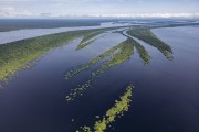 Picture taken with drone of river islands - Anavilhanas National Park - Novo Airao city - Amazonas state (AM) - Brazil