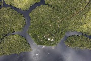 Picture taken with drone of river islands - Anavilhanas National Park - Novo Airao city - Amazonas state (AM) - Brazil
