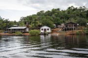 Stilt houses on the banks of Negro River - Anavilhanas National Park - Novo Airao city - Amazonas state (AM) - Brazil
