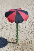 Beach umbrella in Flamengo colors with a pole decorated with plastic leaves - Arpoador - Rio de Janeiro city - Rio de Janeiro state (RJ) - Brazil