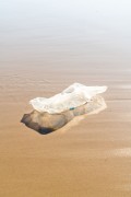 Discarded plastic on Copacabana Beach - Rio de Janeiro city - Rio de Janeiro state (RJ) - Brazil